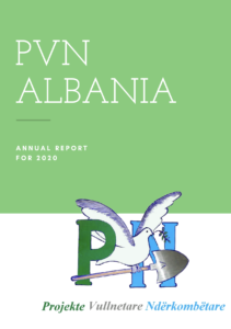 PVN Annual Report 2020